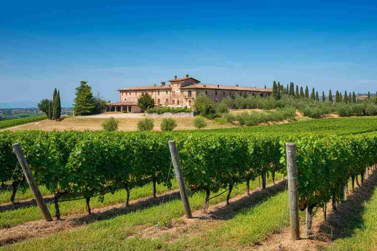 Valpolicella: la cessione dei marchi collettivi per una tutela potenziata dei vini