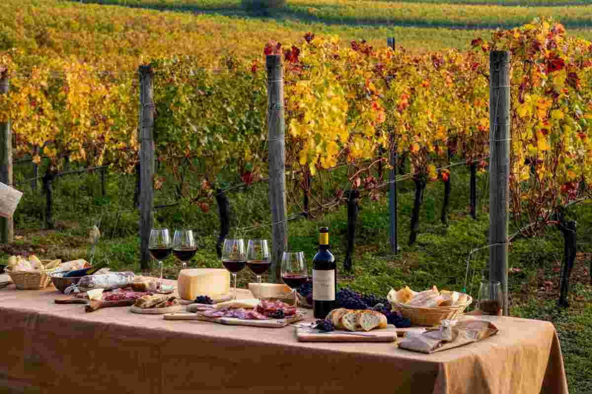 Vendemmia nell'Oltrepò Pavese: un'avventura tra filari e sapori autentici