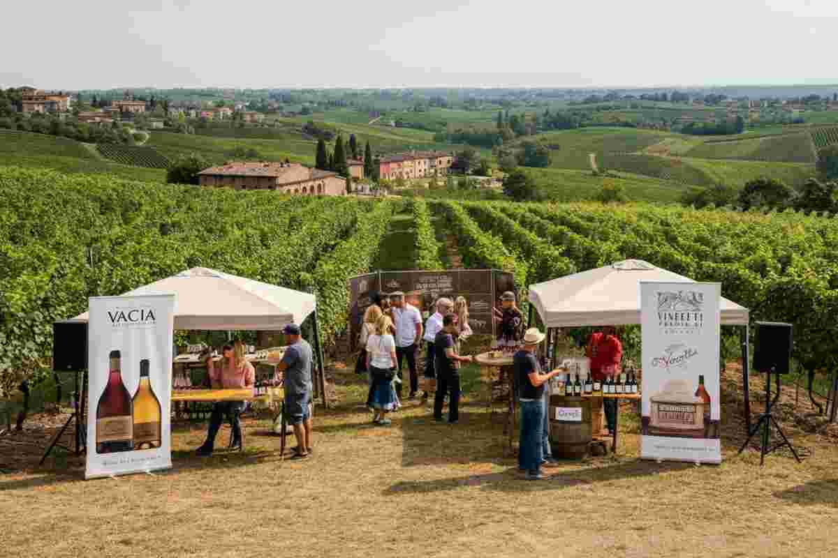 Veneto Wine Stars 2025: scopri i vini veneti che faranno la differenza