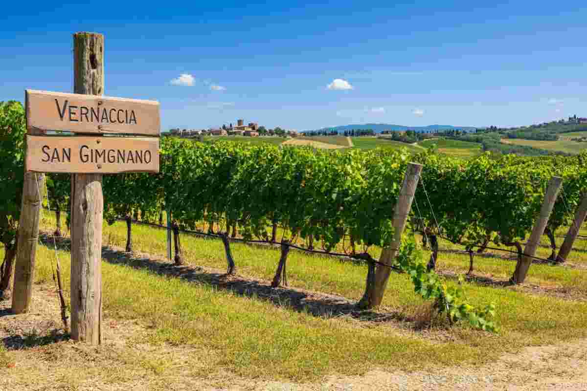 Vernaccia vs Varnacia: il vino di Dante conquista la battaglia del marchio