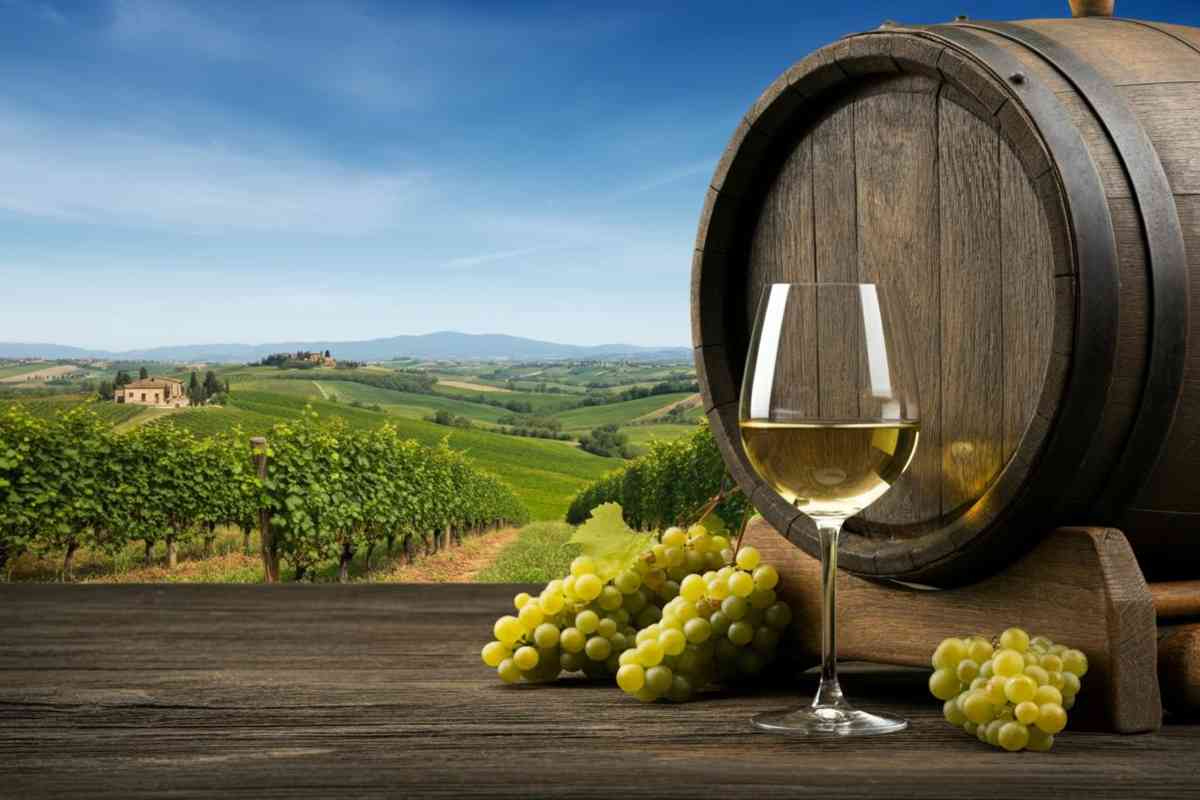 Vernaccia vs Varnacia: il vino di Dante trionfa nella battaglia dei marchi