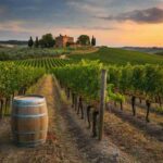 Vino 50&50 Avignonesi Capannelle 1988: un decennale da non perdere