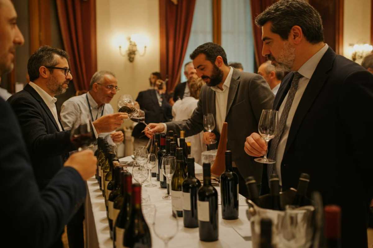 AIS presenta la Guida Vitae 2026: un viaggio nel vino per i mercati internazionali