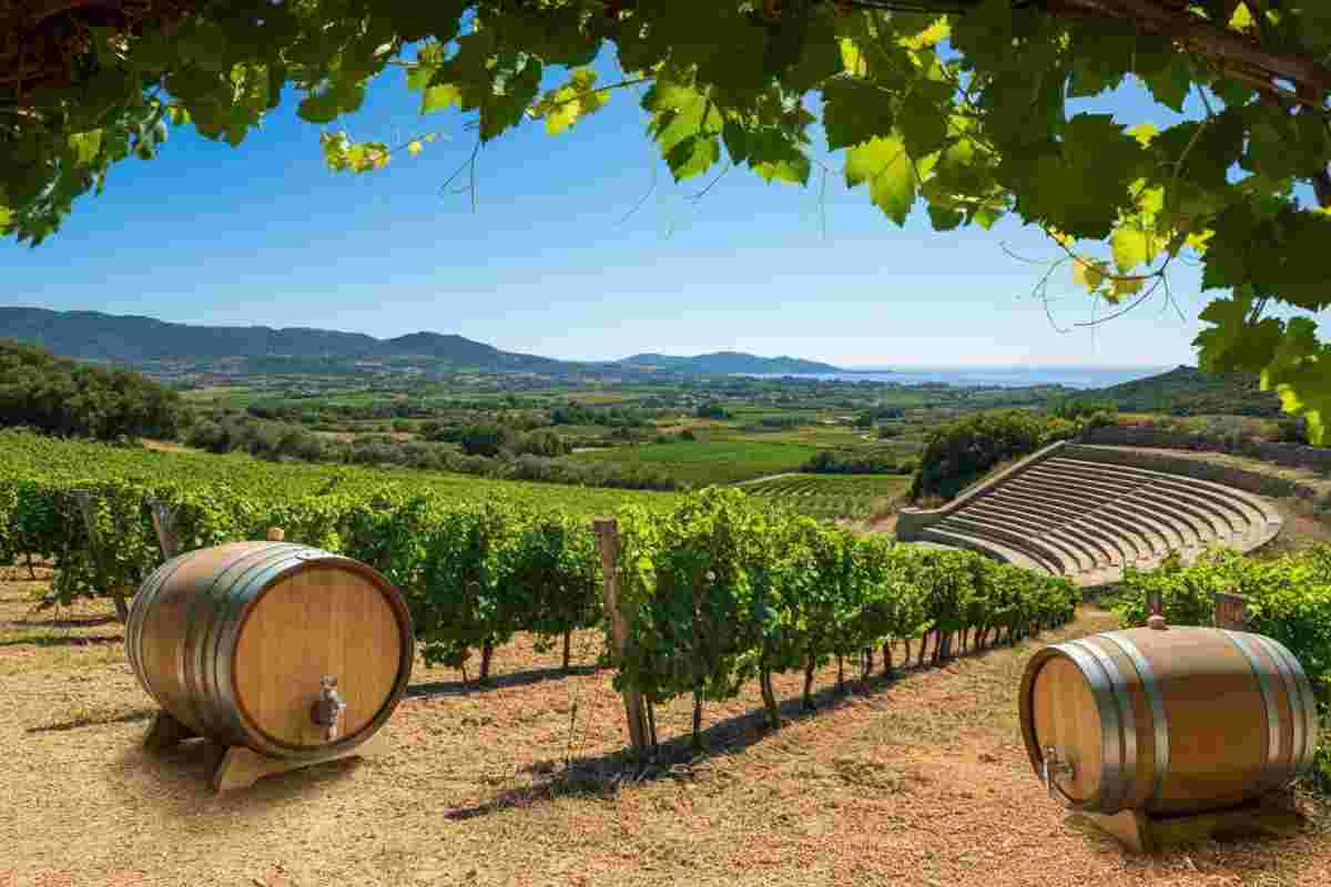 Antichi Poderi Jerzu presenta “Filare”: un viaggio tra tradizione e innovazione nel vino