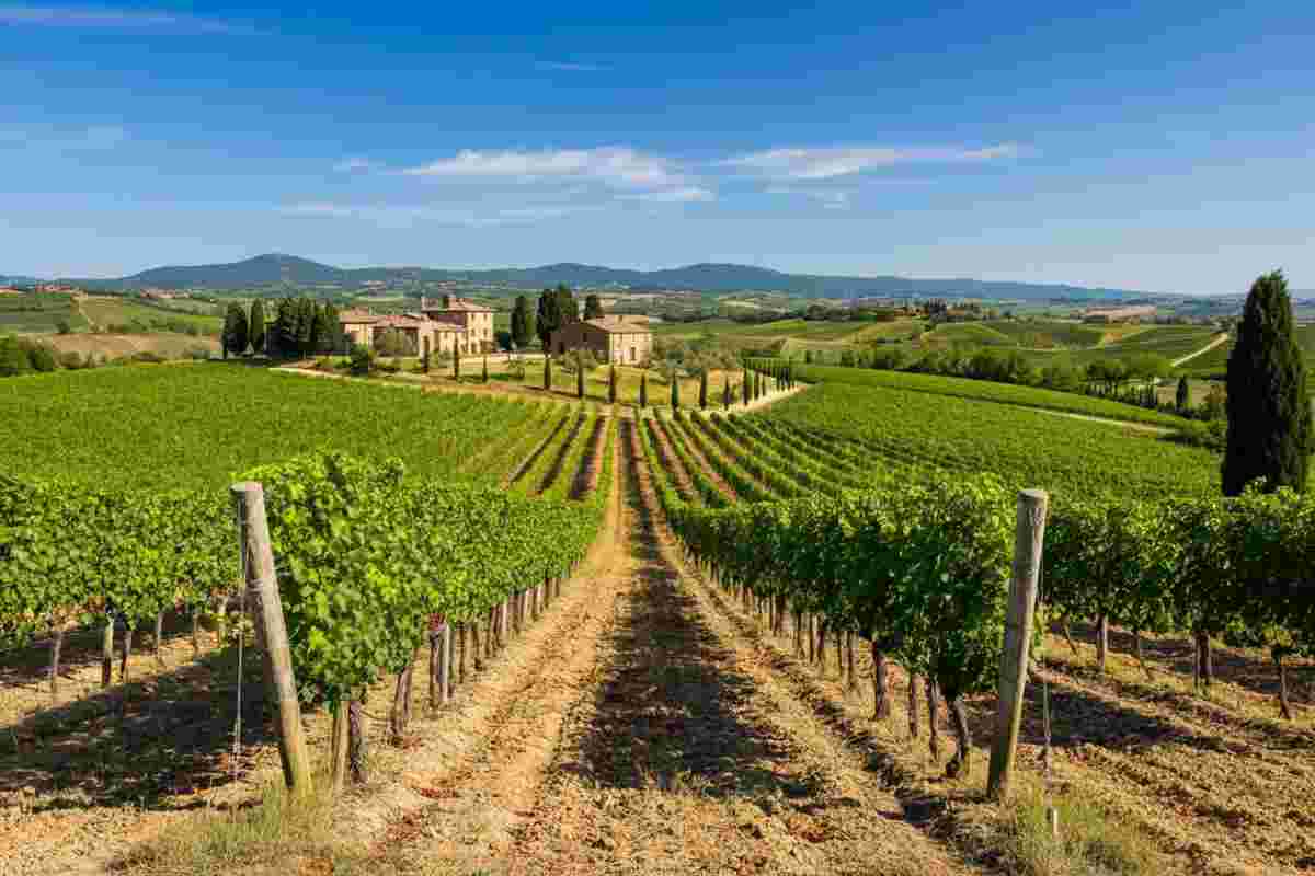 Antonio Spurio: una nuova era per la Cantina di Pitigliano
