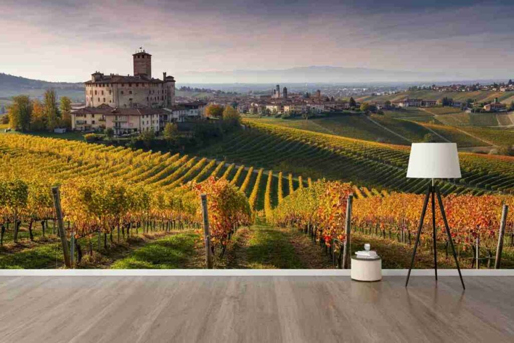 Barolo: la capitale del vino italiano nel 2021