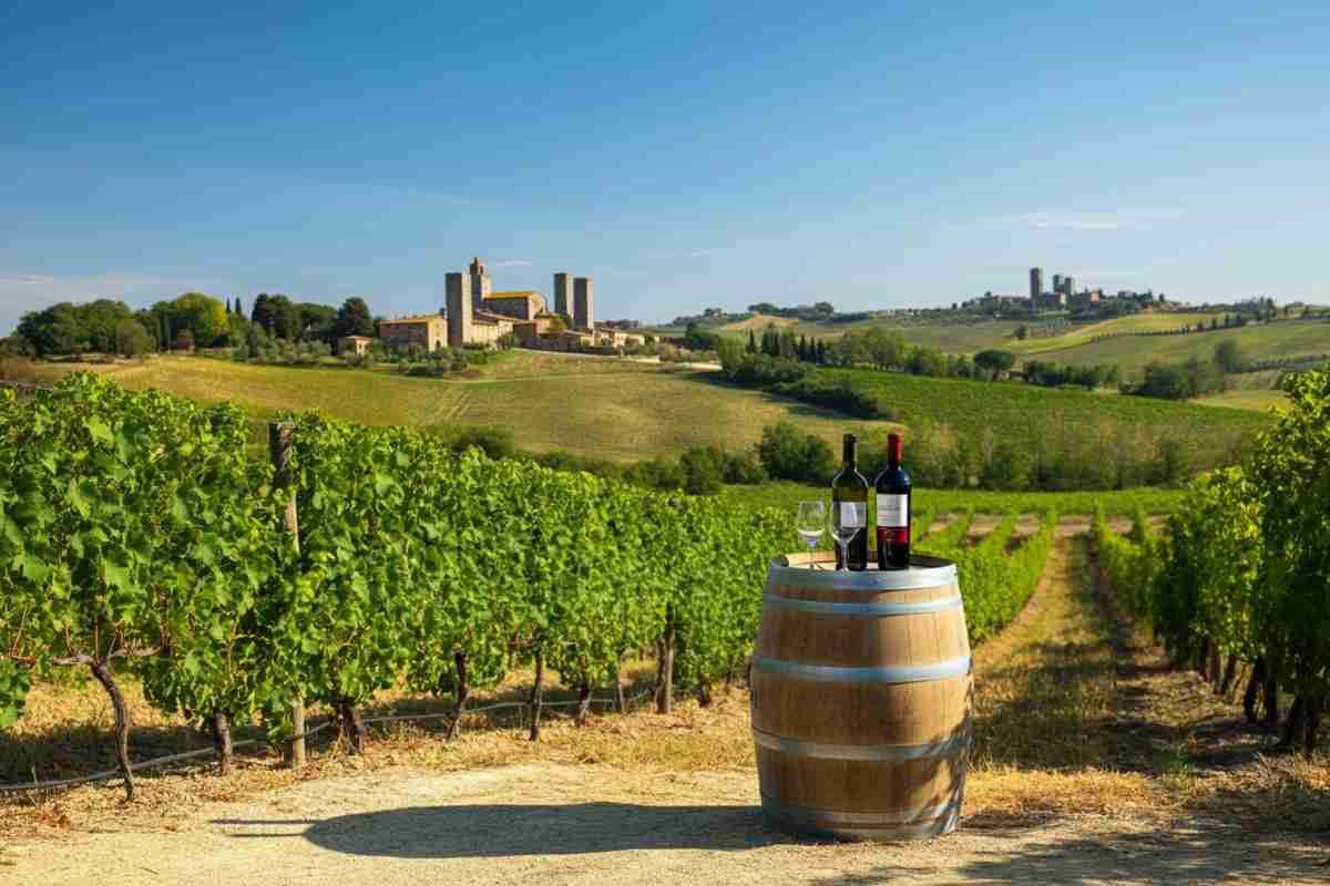 Biagini riconfermato presidente del Consorzio Vernaccia San Gimignano: una nuova era per il vino toscano