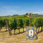 Brunello 2025: un manifesto contro la violenza sulle donne