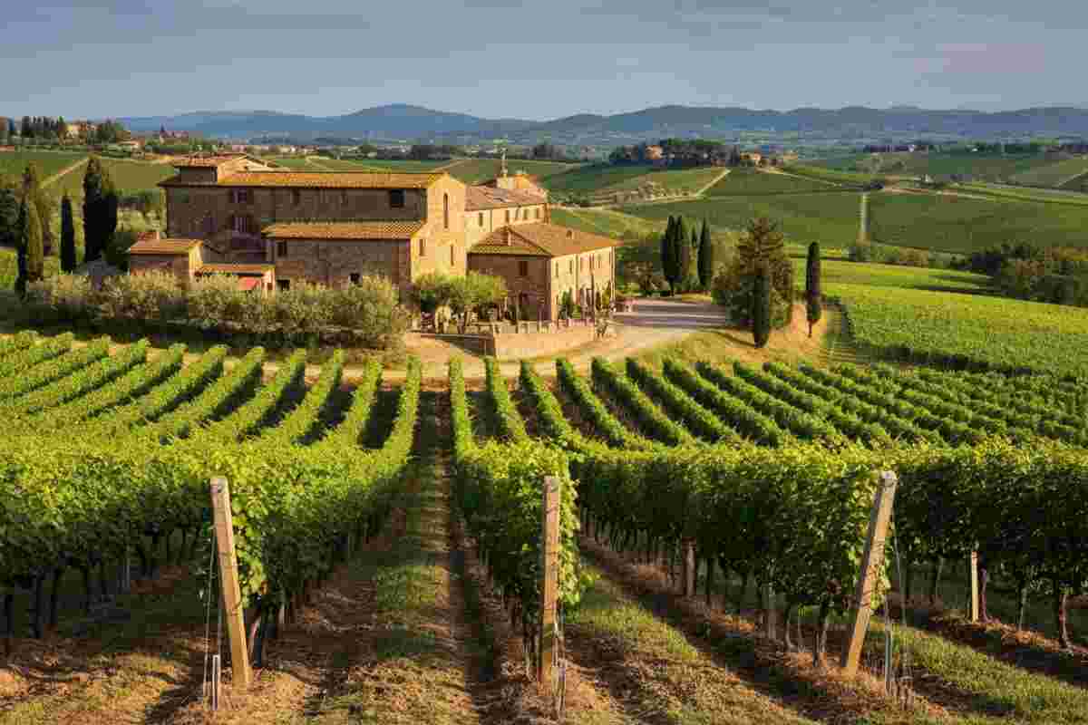 Brunello di Montalcino: esplora le cantine con il tuo iPhone e iPad