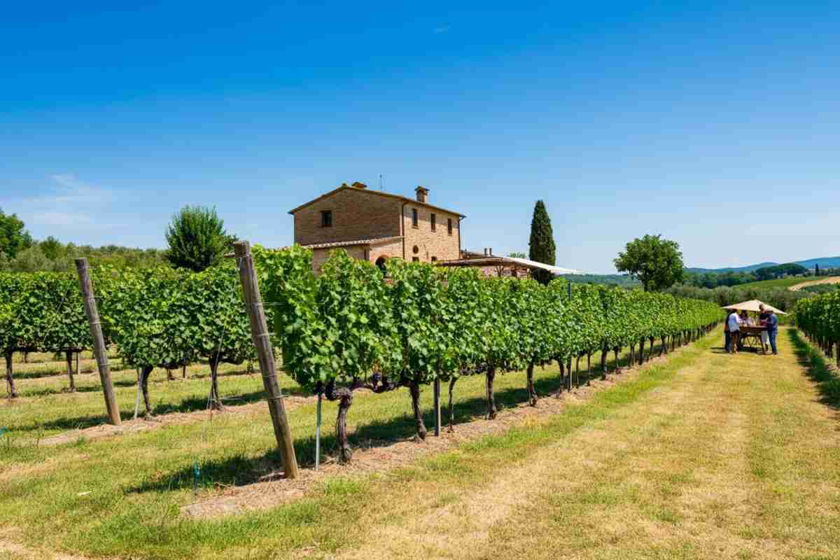 Cantine familiari: il nuovo trend dei turisti internazionali, con la GenZ USA in prima linea