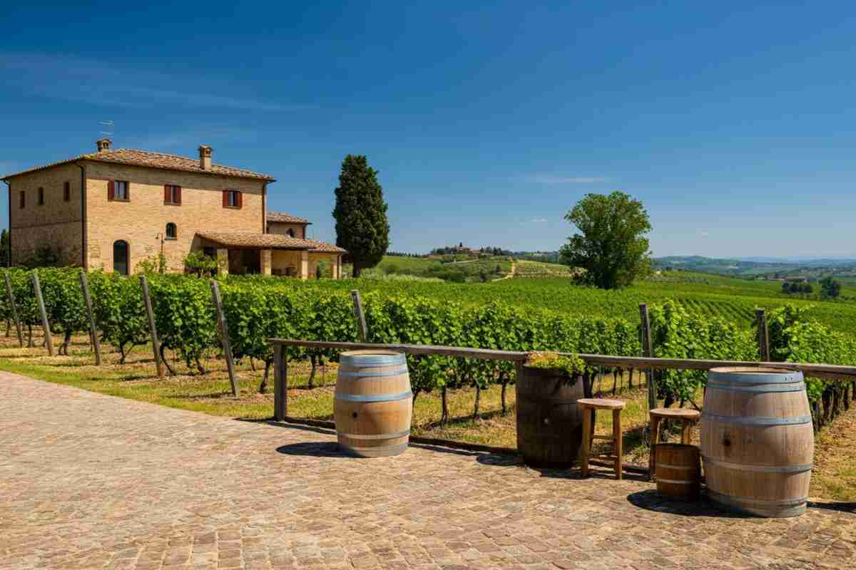 Cantine familiari: la nuova frontiera del turismo per la GenZ americana