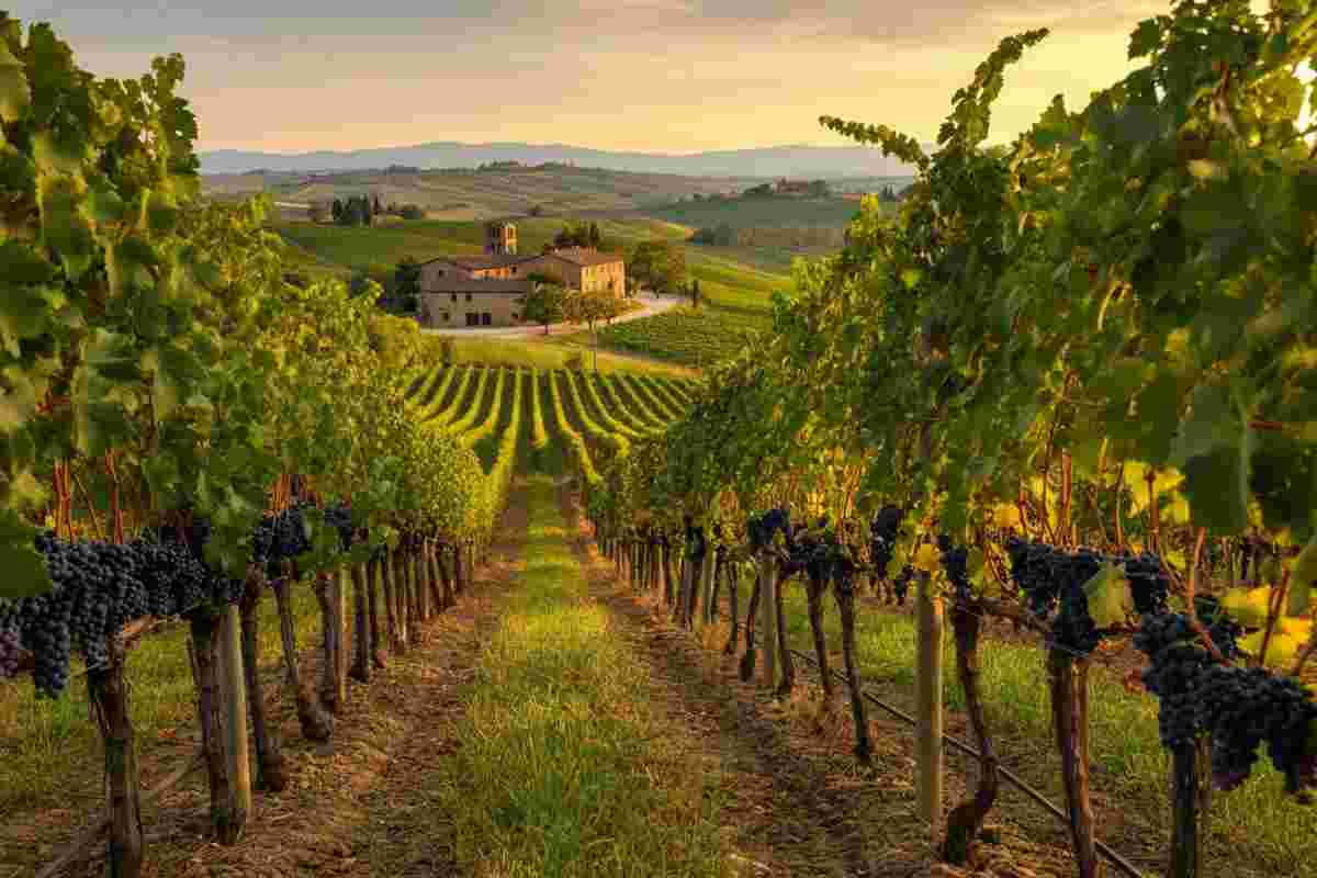 Carlo Calenda: un'azione che brinda al mondo del vino
