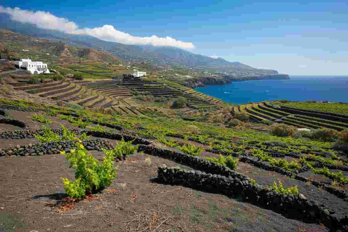 Carole Bouquet lancia un nuovo progetto vinicolo a Pantelleria con Pasqua Vini