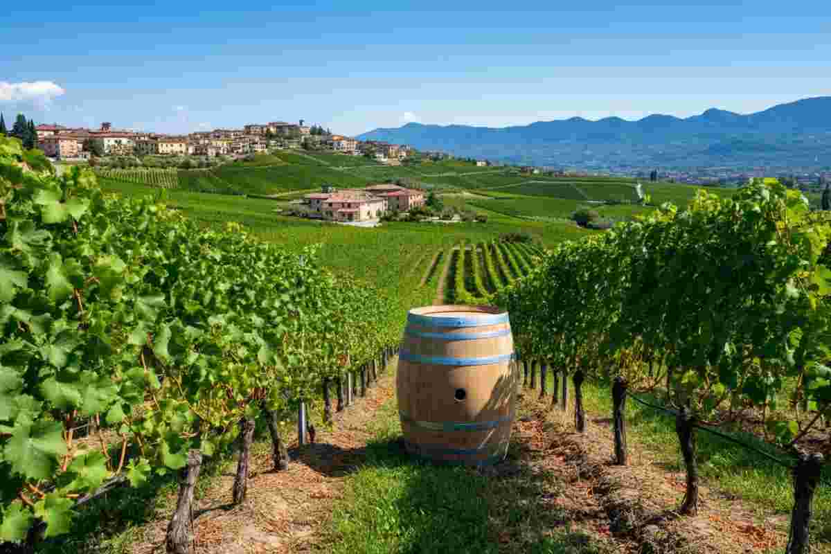 Case Vecie: il cru d’altura che definisce l’eleganza di Brigaldara