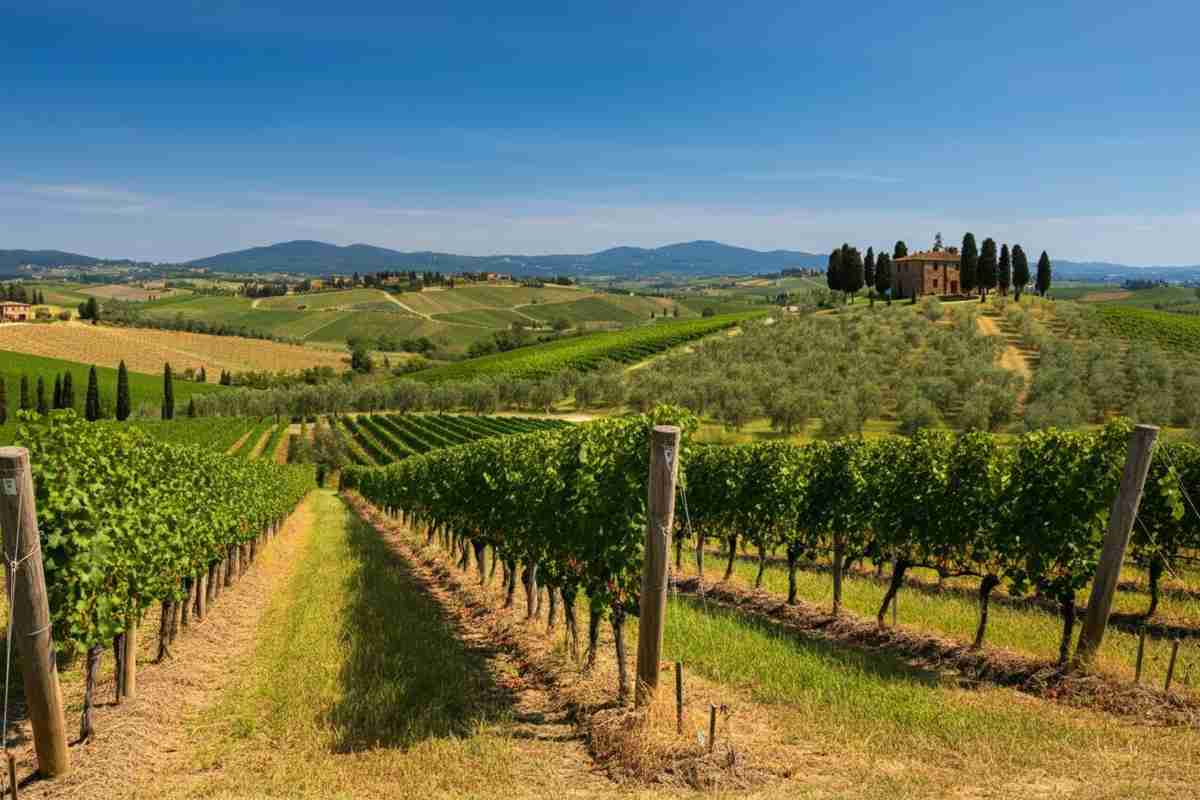 Chianti Classico: il futuro luminoso di un grande vino italiano