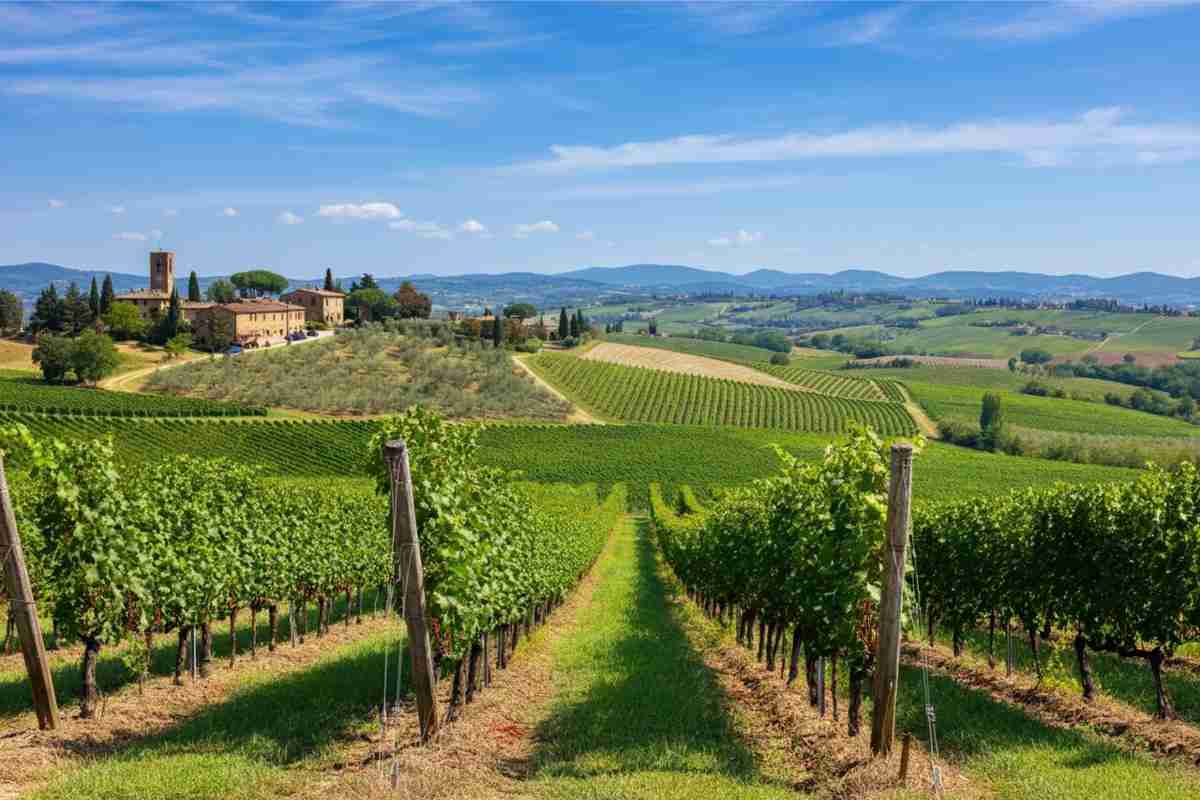 Chianti Classico trionfa ai Decanter: una pioggia di premi per i vini toscani