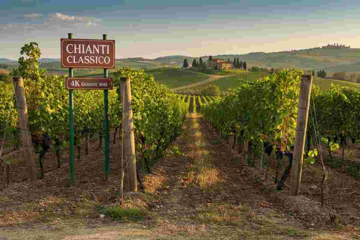 Chianti Classico trionfa ai Decanter: una pioggia di premi per il vino simbolo della Toscana