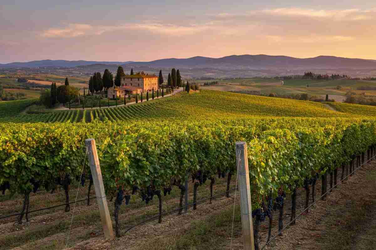 Chianti Classico: un viaggio nel cuore del vino toscano