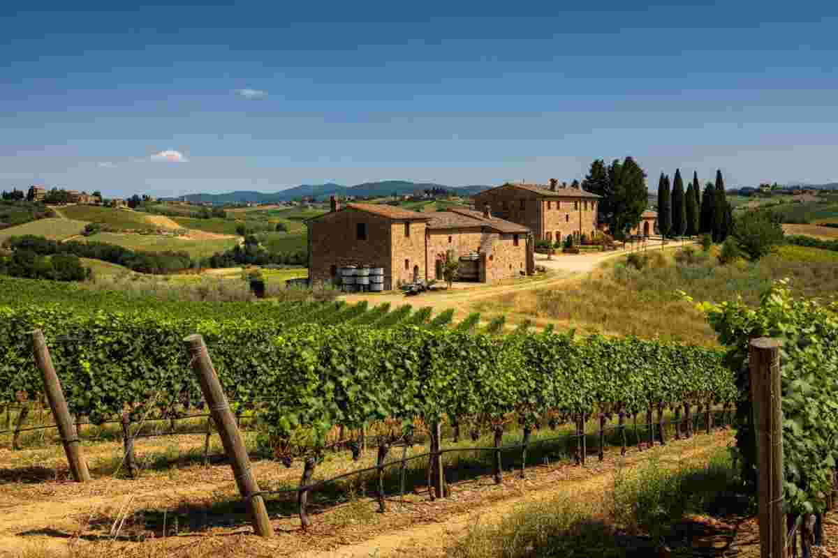 Chianti Rufina si unisce alla Global Artisan Vintners Alliance: un passo verso l'internazionalizzazione