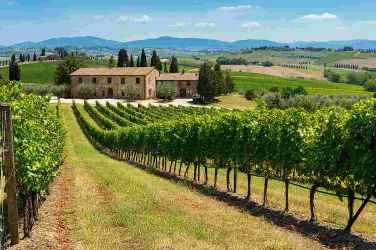 Chianti Rufina si unisce alla Global Artisan Vintners Alliance: una nuova era per il vino artigianale