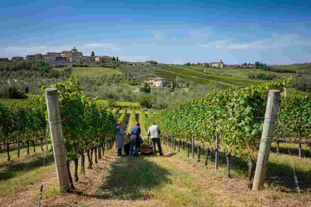 Codacons e Famiglia Cotarella: l'Agcm chiude il caso senza ulteriori indagini