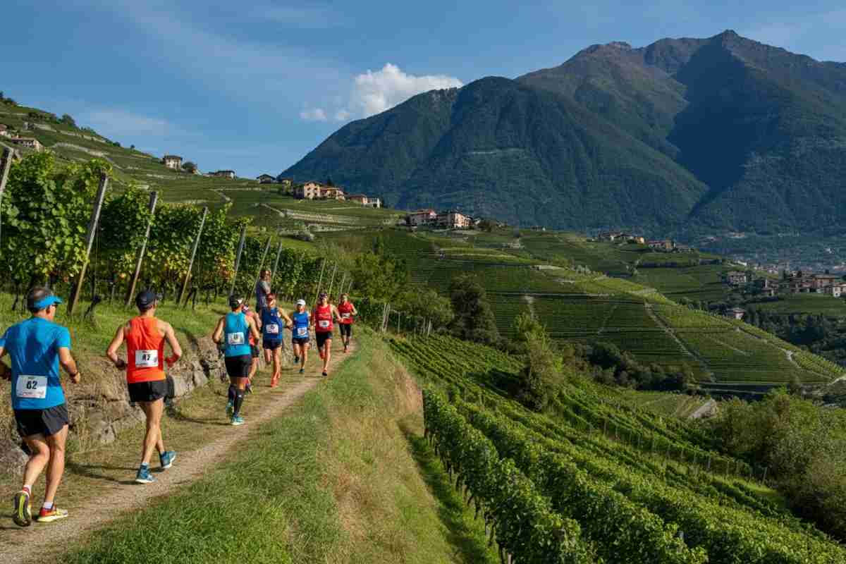 Dalla vigna alla vetta: Rigamonti celebra la Valtellina nel Wine Trail 2025