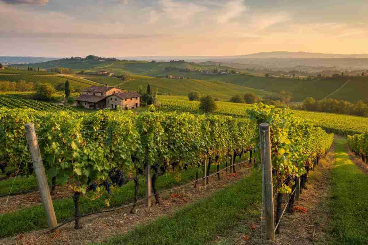 Dazi su pasta e vino: la resilienza dei territori salverà i brand italiani secondo Franco Morando di Montalbera