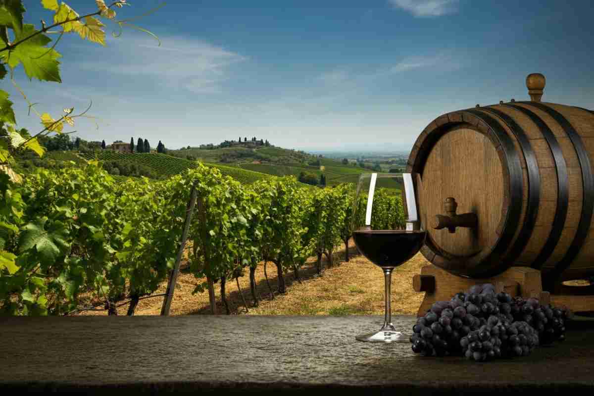 Dazi sul vino: l'export italiano negli USA crolla del 28% tra luglio e agosto