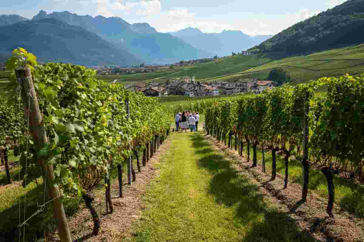 DoloViniMiti 2025: un trionfo di sapori e turismo slow