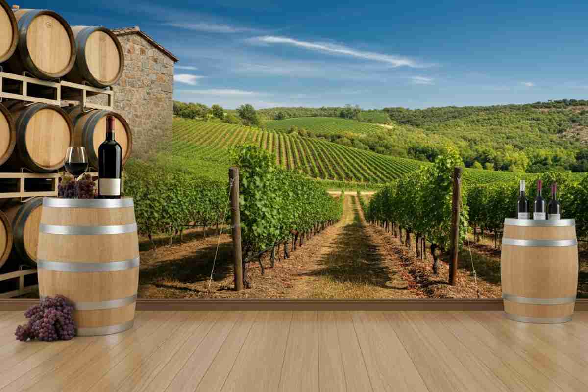 EFI Fine Wines: la nuova avventura di Edoardo Freddi nel mondo dei vini d'élite