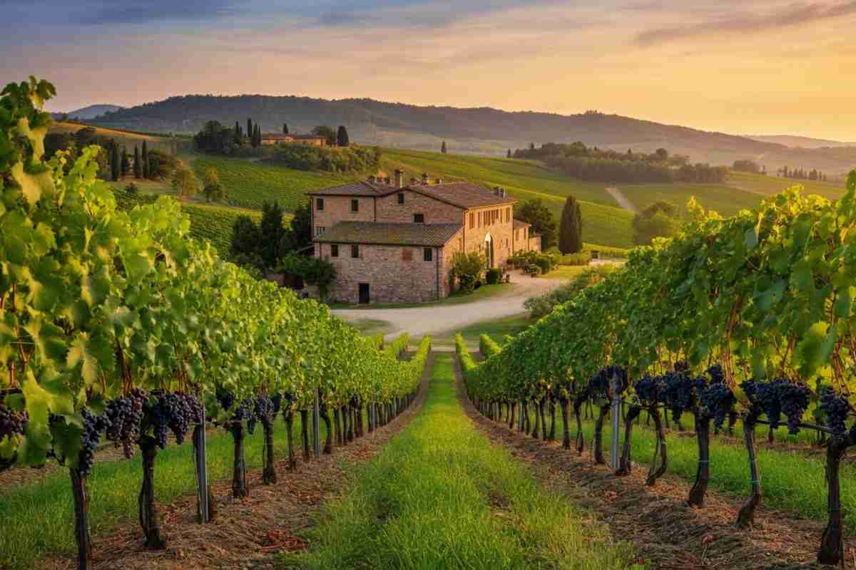 EFI Fine Wines: la nuova avventura di Edoardo Freddi nel mondo del vino di alta gamma