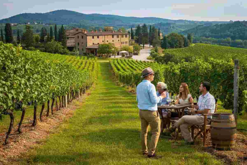 Enoturismo: Garibaldi avverte, molte cantine ignorate dalla tecnologia