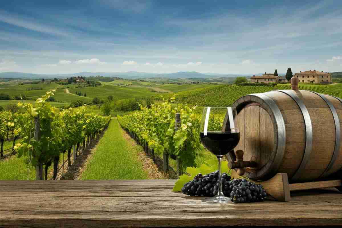Esplora i tesori del vino italiano con La Grande Bellezza: un tour virtuale imperdibile del 2021