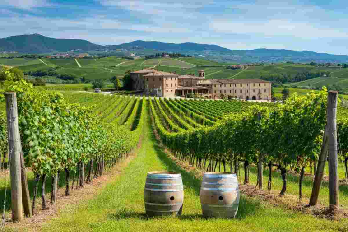 Feudi di San Gregorio: un investimento da 5 milioni tra Cdp e Finint Investments