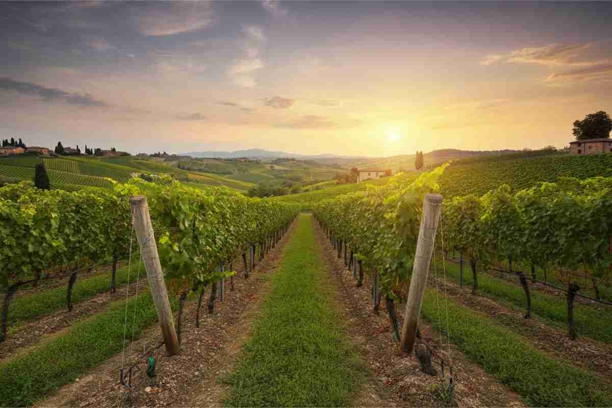 Fivi: la richiesta di un equilibrio produttivo e l'espansione nel mercato europeo