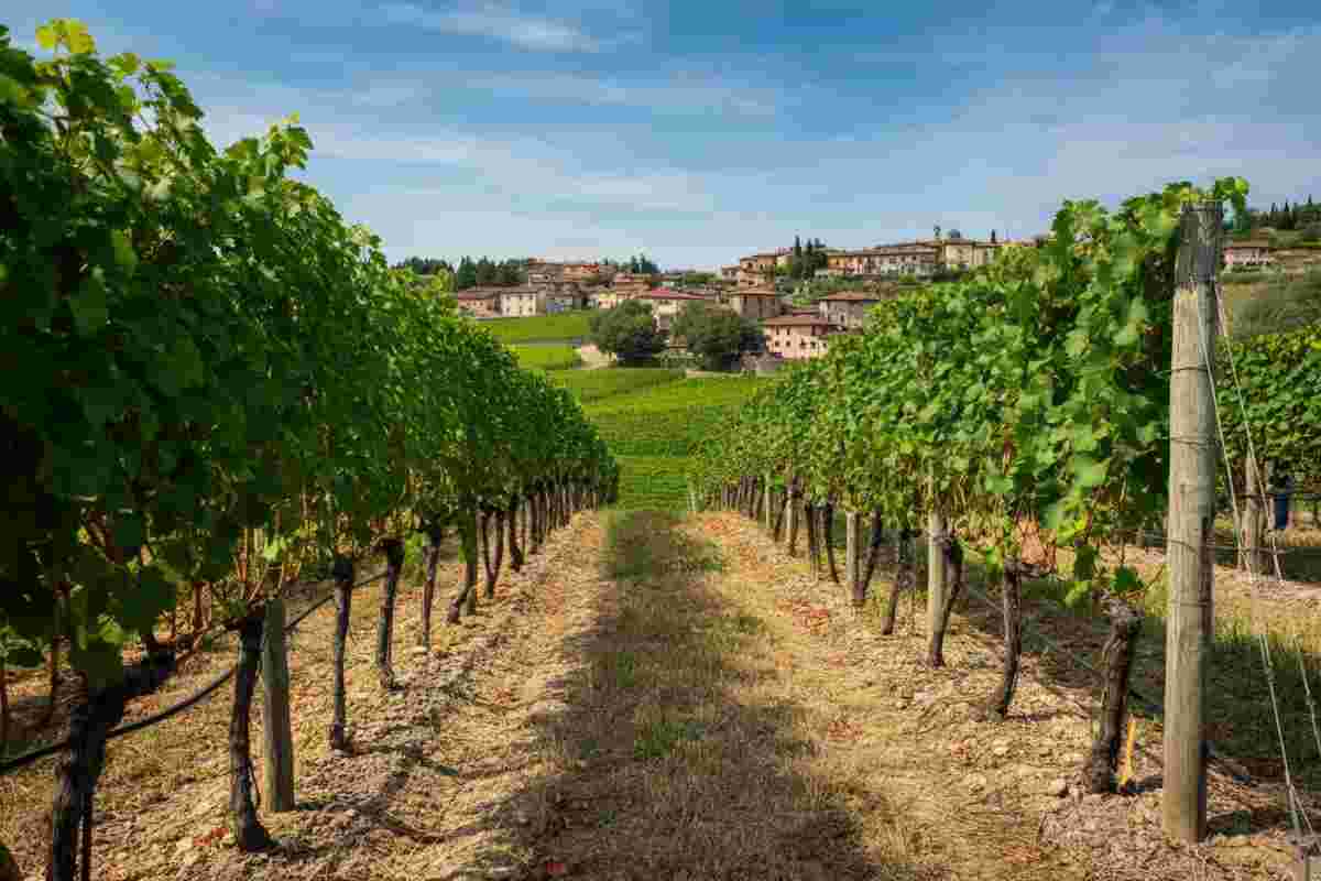 Franciacorta: 35 anni di eccellenza e innovazione nel vino