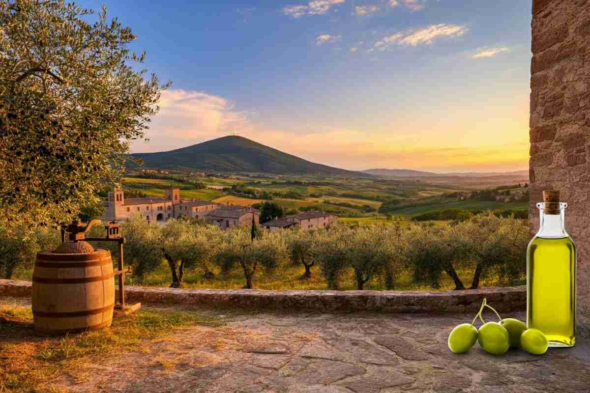 Frantoi Aperti in Umbria 2025: un viaggio tra oli pregiati, degustazioni e turismo slow