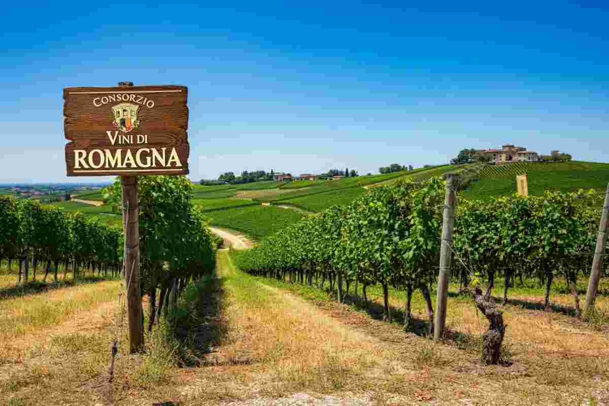 Giordano Zinzani: il nuovo capitolo da presidente del Consorzio Vini di Romagna