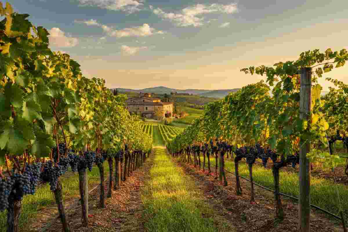 Graziano Prà e Pilar Gritti: premiati da “Slow Wine” 2026 per il loro straordinario contributo al vino