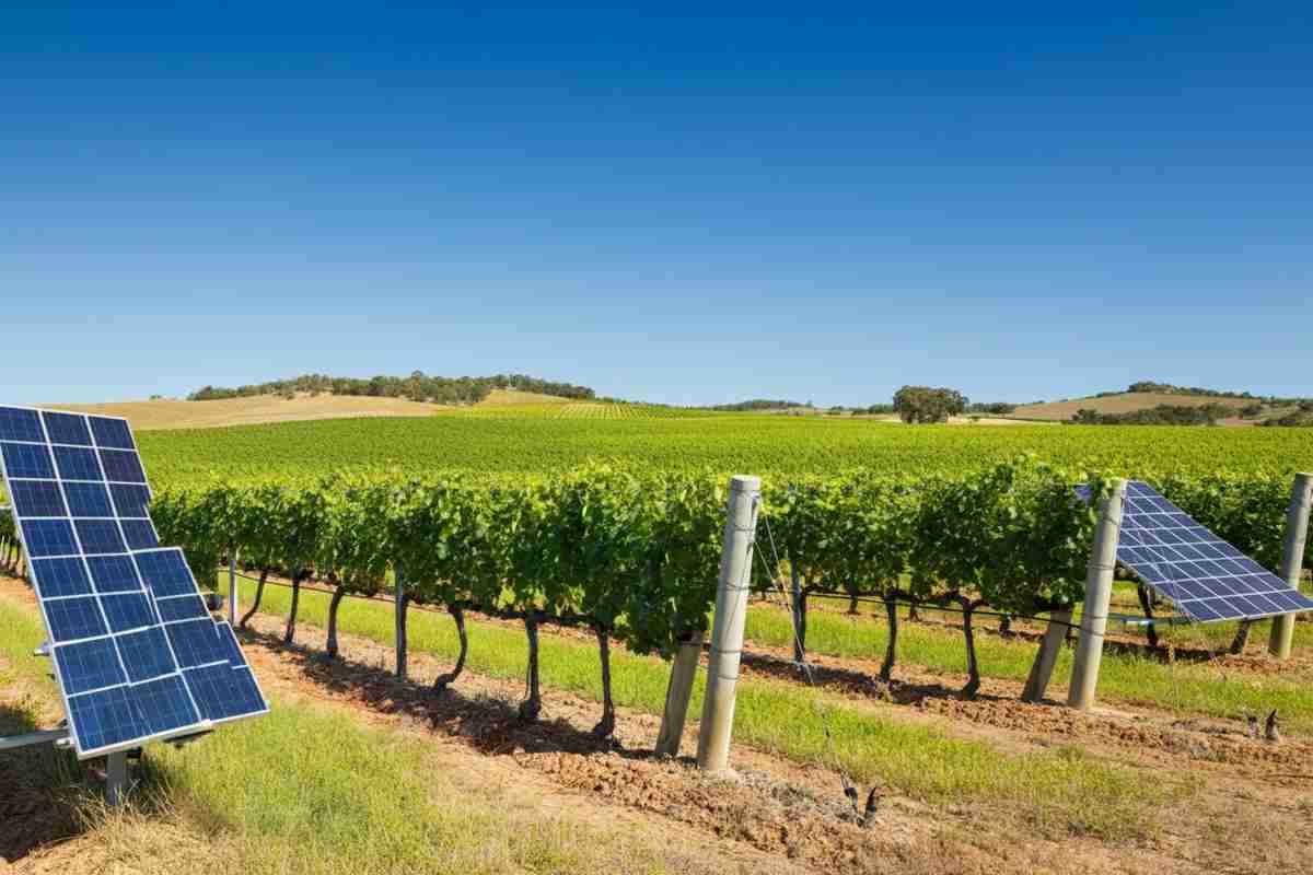 Herita Marzotto Wine Estate conquista il Sustainability Award 2025 con la sua crescente sostenibilità
