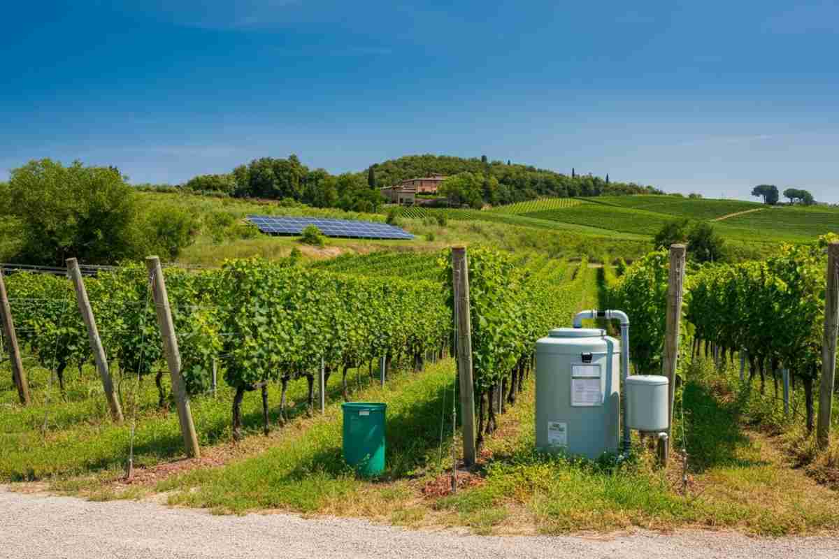 Herita Marzotto Wine Estate conquista il Sustainability Award 2025 con un impegno green sempre crescente