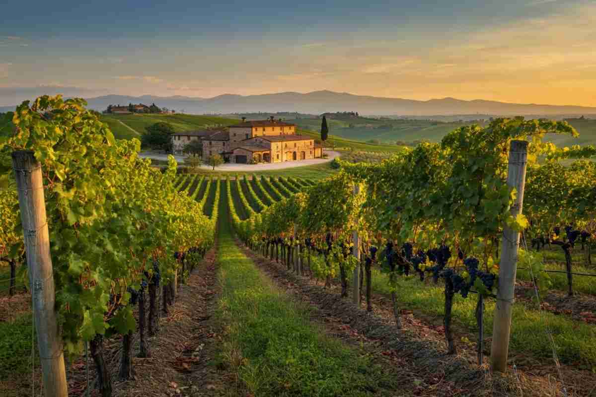 I segreti dei grandi marchi del vino svelati al Boroli Wine Forum