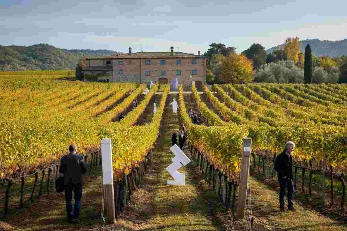 Il connubio perfetto: MetodoContemporaneo, l'osservatorio che unisce vino e arte nelle cantine-museo d'Italia