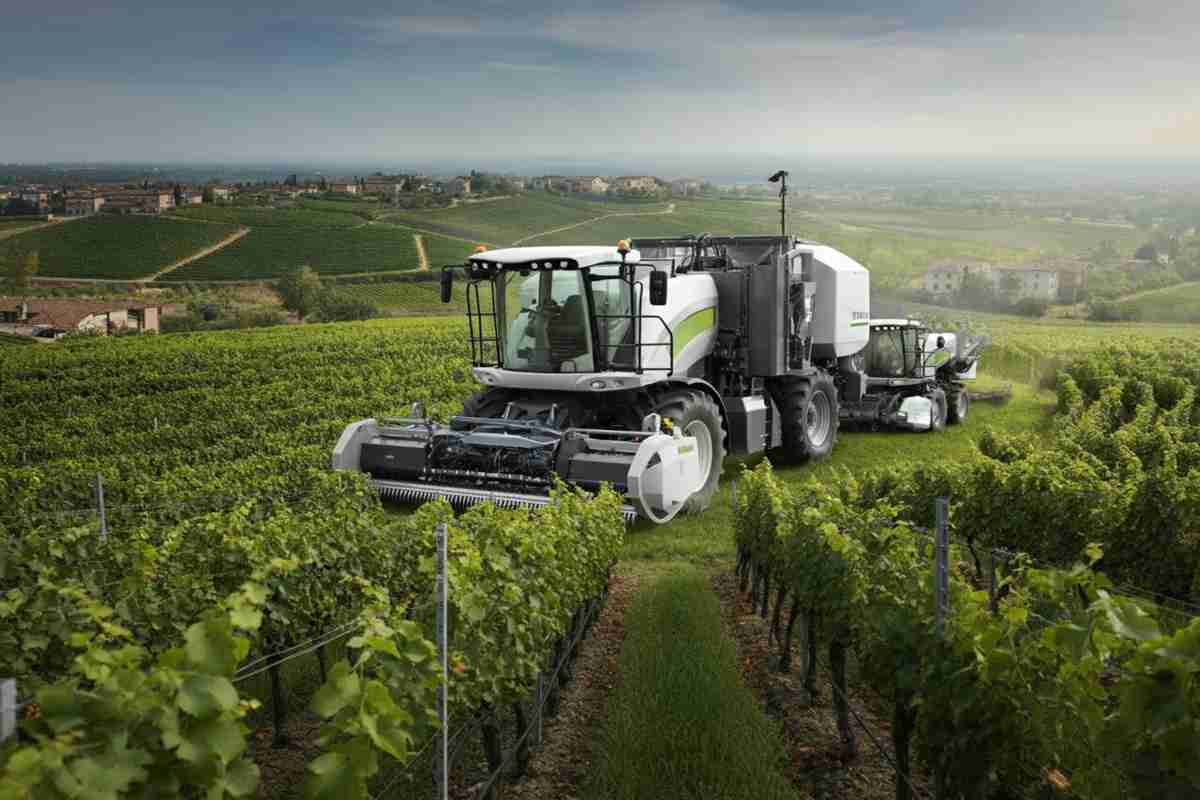 Innovazione e tradizione: la vigna hi-tech di Enovitis in Campo