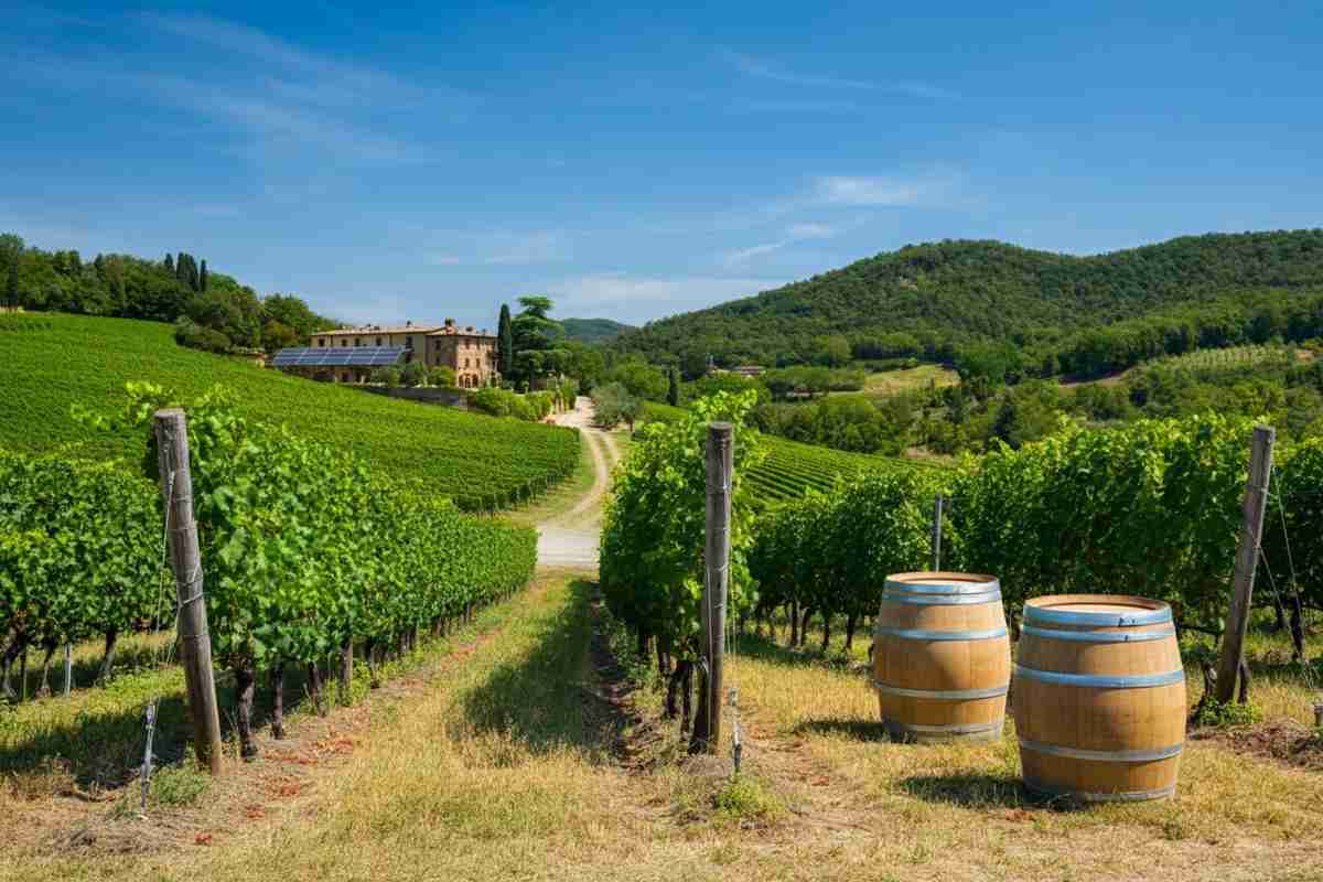 Innovazioni e proposte delle associazioni del vino: Ais, Aspi, Fisar e Onav a confronto