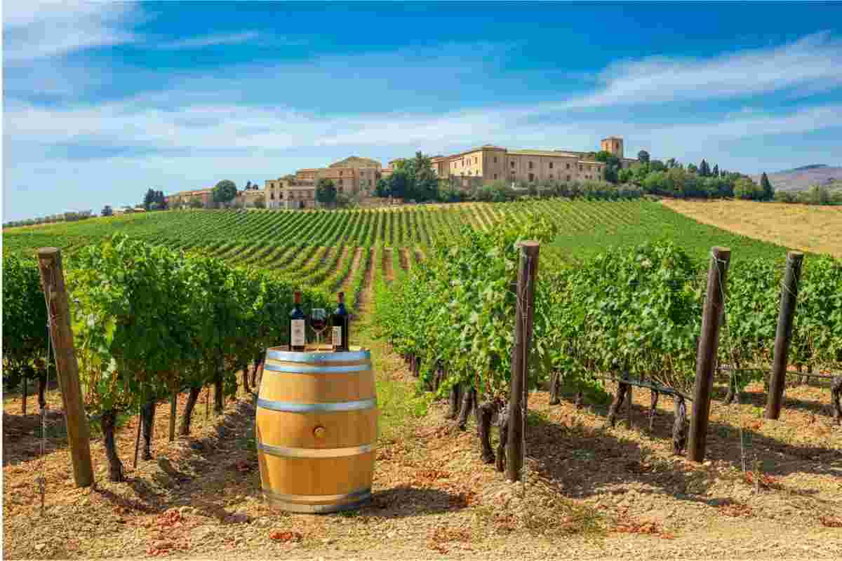Italia brilla con i suoi vini dolci e fortificati al “Concours Mondial de Bruxelles” 2025 a Catania