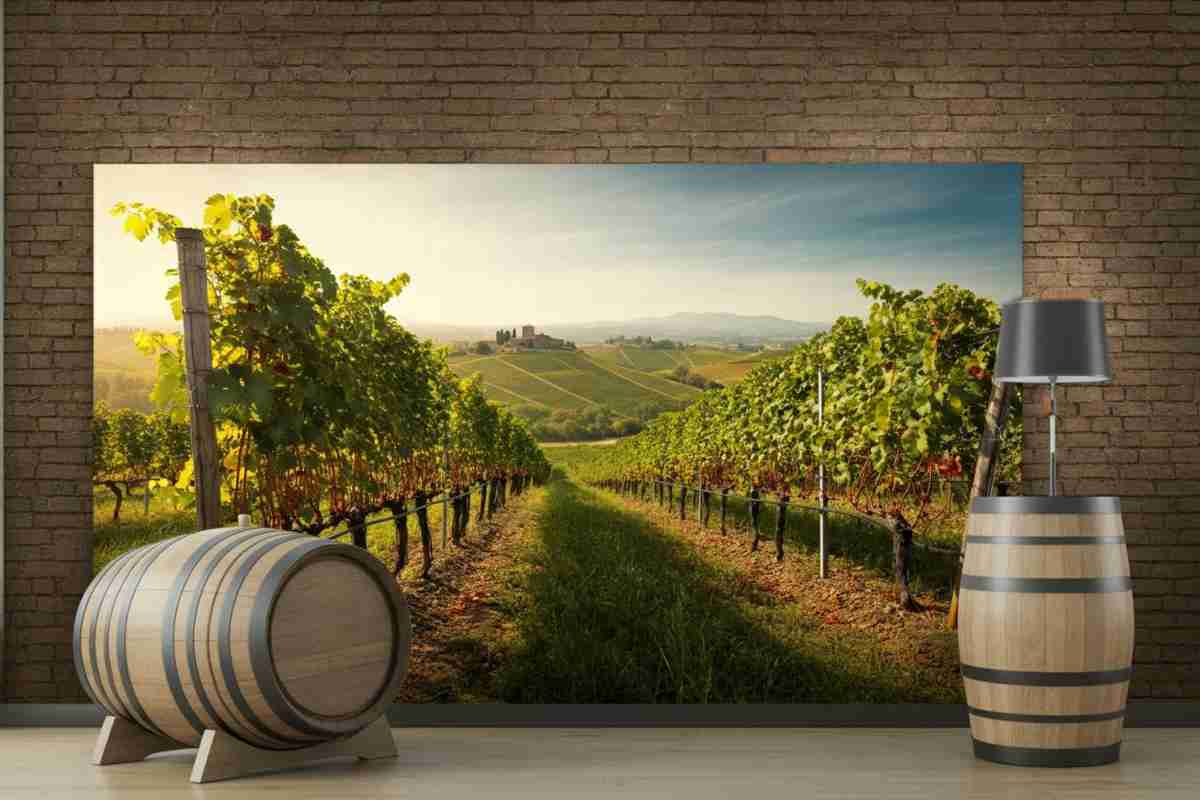 La Ponca Malvasia Collio DOC: un viaggio nel cuore delle Colline di Scriò