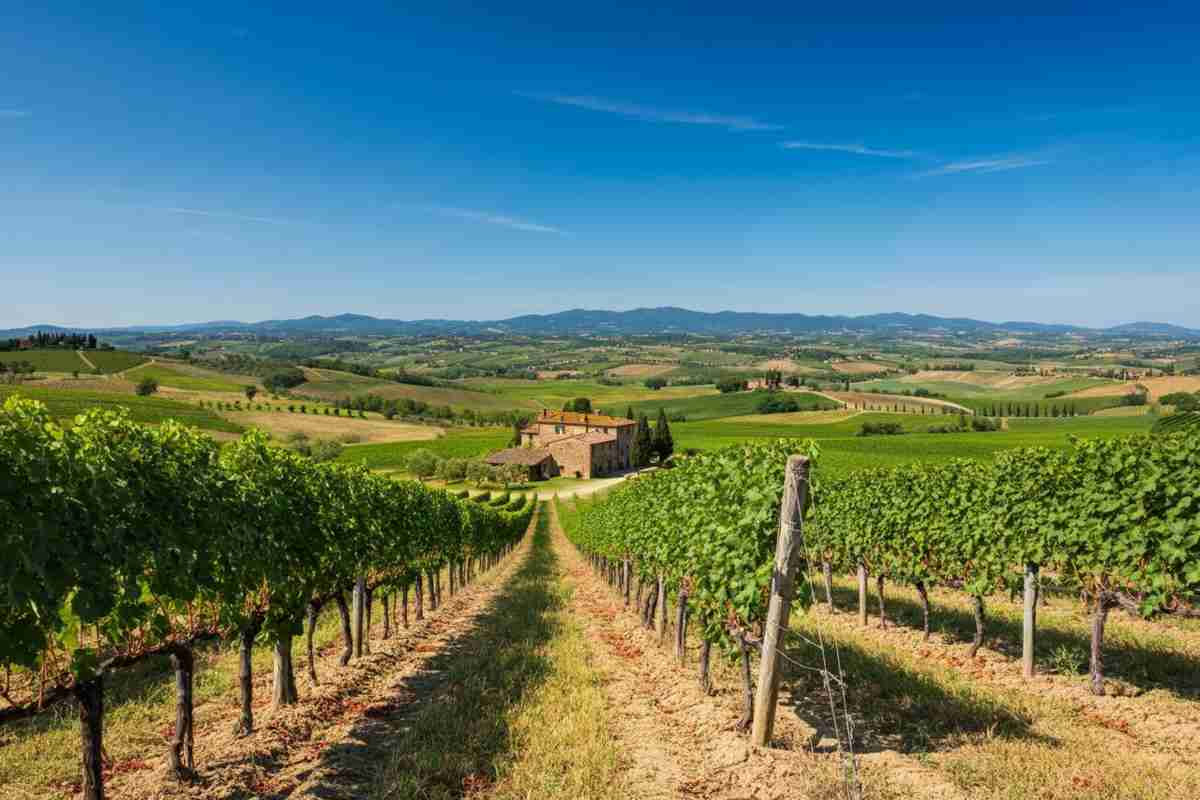 La Regola e Strido: il Merlot che conquista i “Tre Bicchieri”