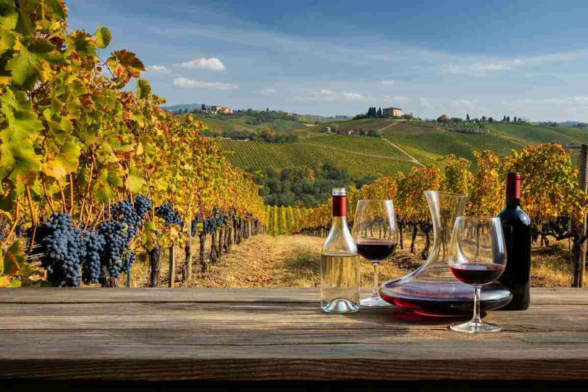 La cultura dell’assaggio sbarca all'università grazie a ONAV