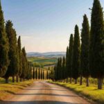 La saga dei Della Gherardesca: un viaggio nella storia di una delle famiglie più influenti d'Italia